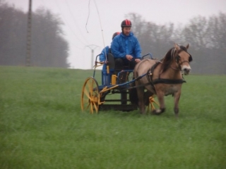  Attelage en Poitou Charentes 